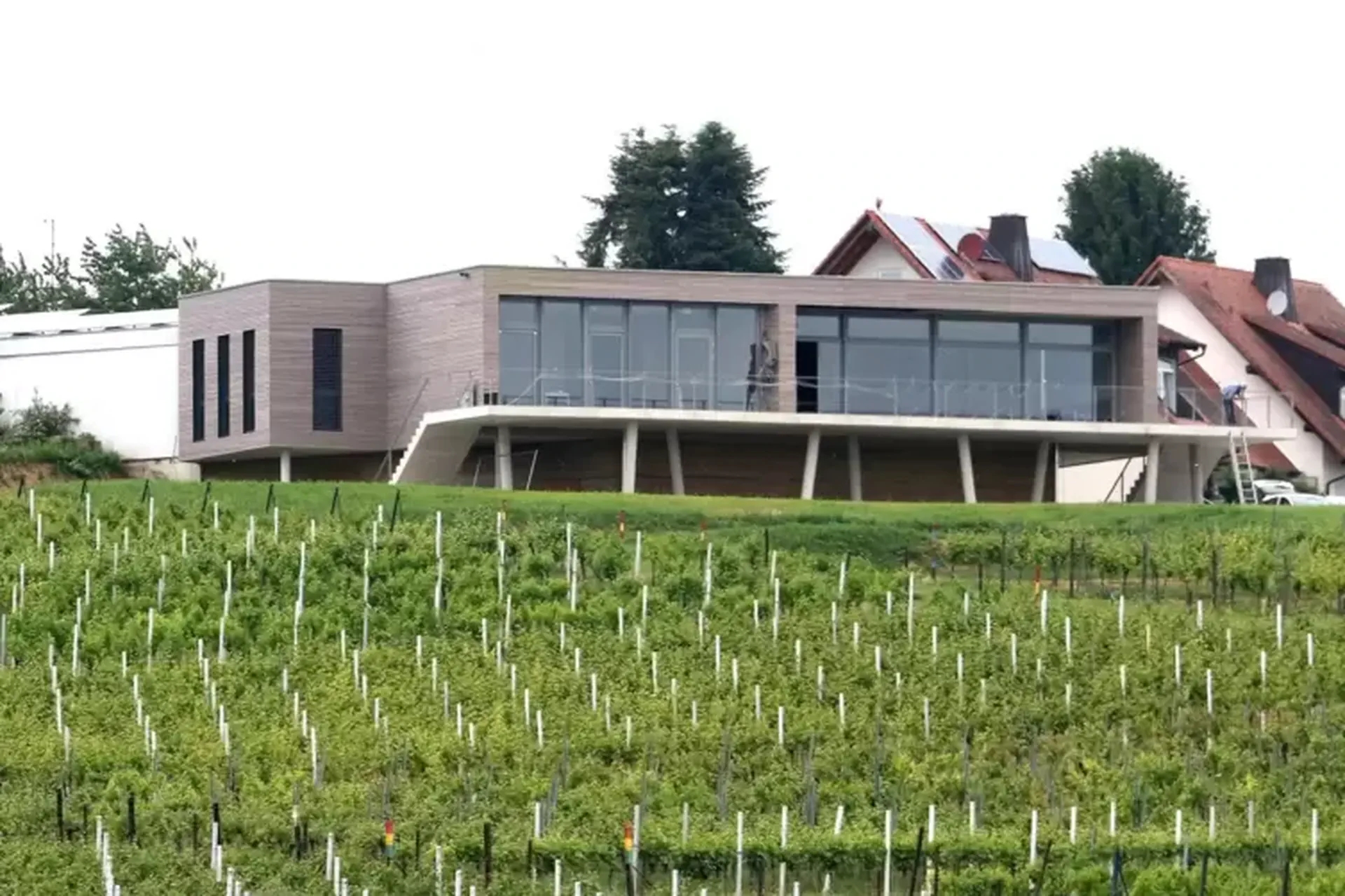 Wein des Bioland-Weinguts Heiner Sauer aus der Pfalz